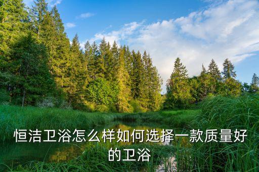 湛江恒潔衛(wèi)浴怎么樣啊電話,恒潔衛(wèi)浴與TOTO比怎么樣