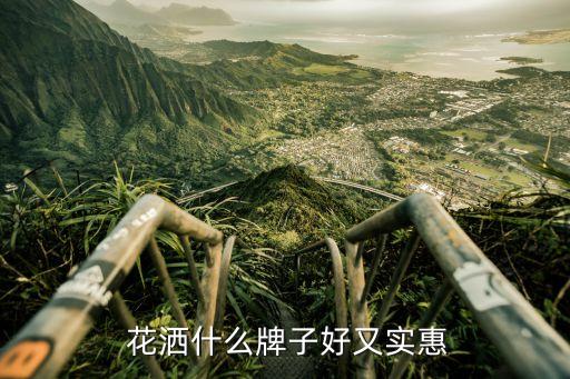  花灑什么牌子好又實惠