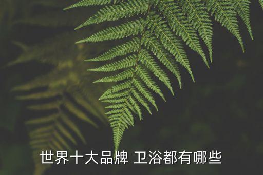 居天下衛(wèi)浴裝修效果圖片,衛(wèi)浴店的裝修效果圖片