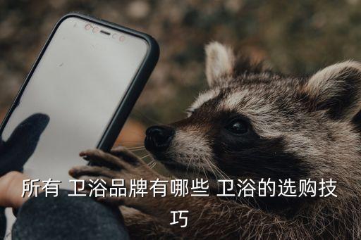 衛(wèi)浴品牌好做還是雜牌好做
