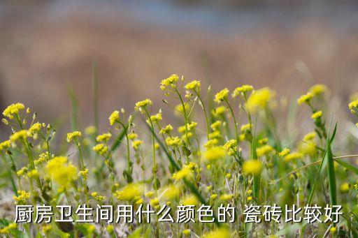 廚房衛(wèi)生間用什么顏色的 瓷磚比較好