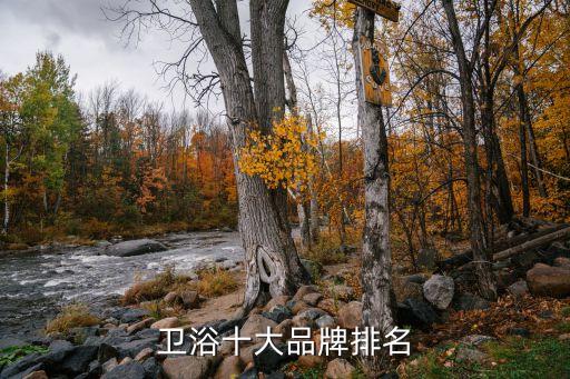 衛(wèi)浴十大品牌排名