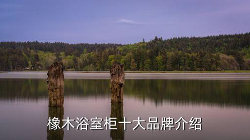 尚高衛(wèi)浴裝修實拍圖片