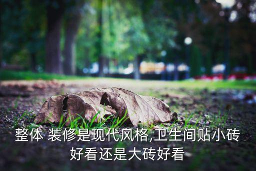 整體 裝修是現(xiàn)代風(fēng)格,衛(wèi)生間貼小磚好看還是大磚好看