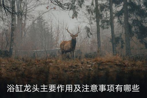 衛(wèi)浴水龍頭功能介紹圖片,邦龍衛(wèi)浴水龍頭價格及圖片