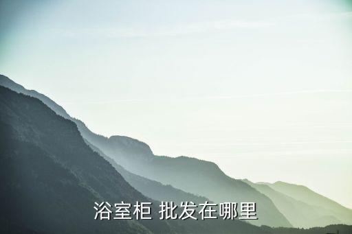 陜西榆林衛(wèi)浴批發(fā)市場(chǎng)電話
