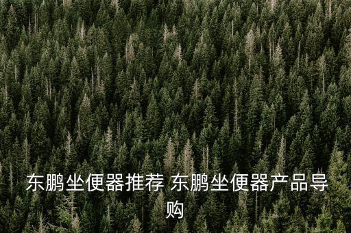  東鵬坐便器推薦 東鵬坐便器產(chǎn)品導購
