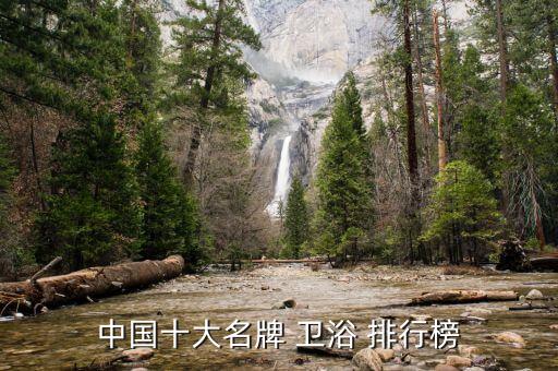 中國十大名牌 衛(wèi)浴 排行榜