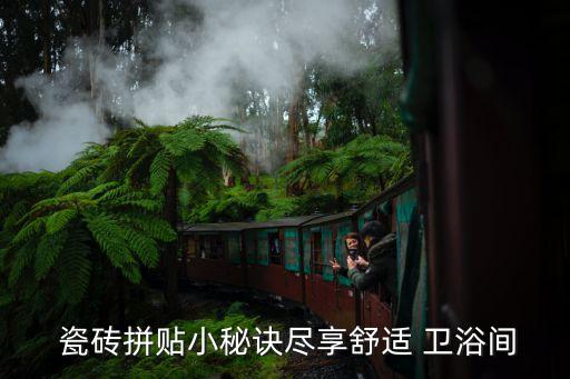  瓷磚拼貼小秘訣盡享舒適 衛(wèi)浴間