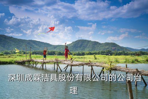  深圳成霖潔具股份有限公司的公司治理