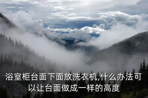 磚頭砌衛(wèi)浴柜圖片