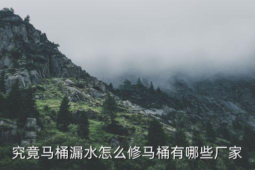 究竟馬桶漏水怎么修馬桶有哪些廠家