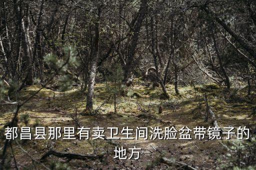 都昌縣那里有賣衛(wèi)生間洗臉盆帶鏡子的地方