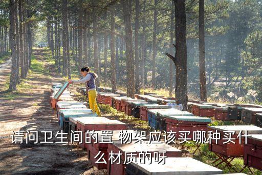 請問衛(wèi)生間的置 物架應(yīng)該買哪種買什么材質(zhì)的呀