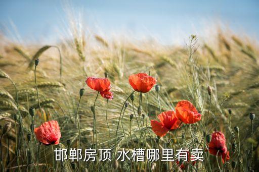 邯鄲房頂 水槽哪里有賣
