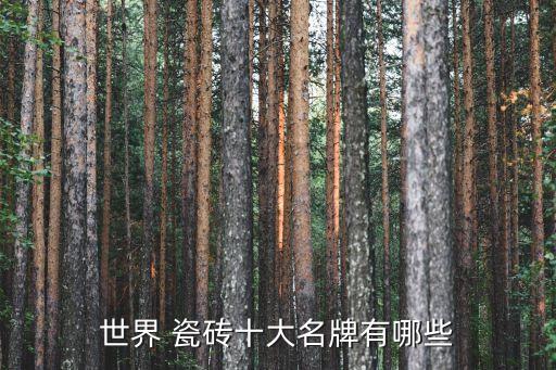 世界 瓷磚十大名牌有哪些
