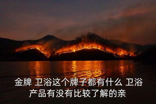 金牌衛(wèi)浴花灑圖片,歐度衛(wèi)浴花灑價格及圖片