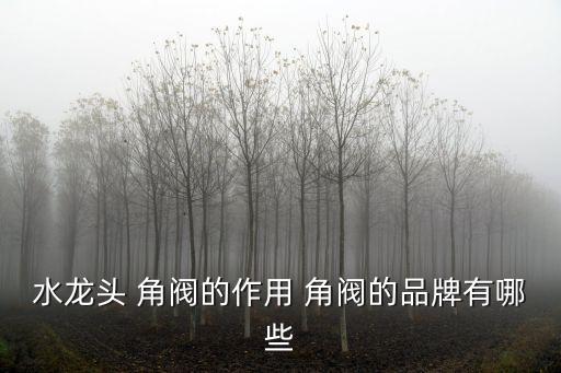水龍頭 角閥的作用 角閥的品牌有哪些