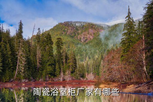 陶瓷浴室柜廠家有哪些
