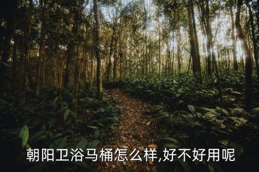  朝陽衛(wèi)浴馬桶怎么樣,好不好用呢
