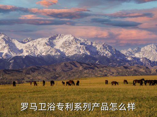 羅馬衛(wèi)浴專利系列產品怎么樣