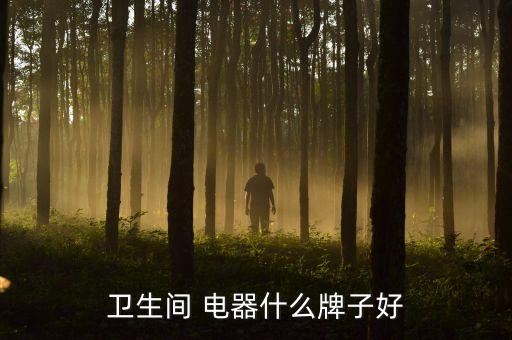 衛(wèi)生間 電器什么牌子好