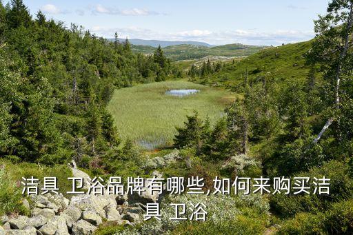 潔具 衛(wèi)浴品牌有哪些,如何來購買潔具 衛(wèi)浴