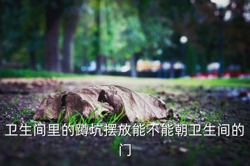 衛(wèi)生間里的蹲坑擺放能不能朝衛(wèi)生間的門