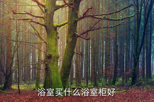 浴室買什么浴室柜好
