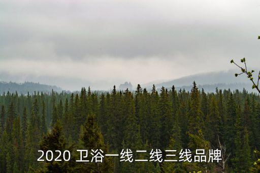 樂(lè)浴衛(wèi)浴是幾線品牌