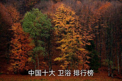 中國十大 衛(wèi)浴 排行榜