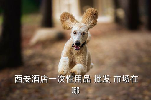 西安公衛(wèi)衛(wèi)浴批發(fā)市場(chǎng)地址,西安整體衛(wèi)浴批發(fā)市場(chǎng)在哪里