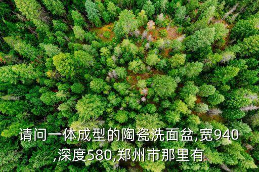 請問一體成型的陶瓷洗面盆,寬940,深度580,鄭州市那里有