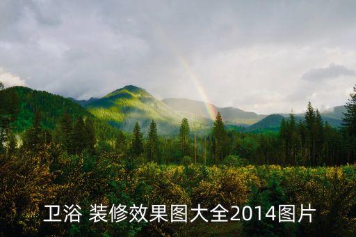  衛(wèi)浴 裝修效果圖大全2014圖片