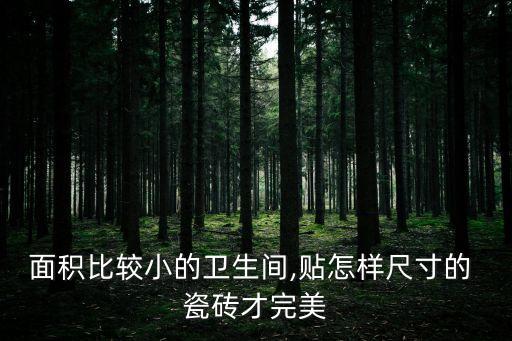 面積比較小的衛(wèi)生間,貼怎樣尺寸的 瓷磚才完美