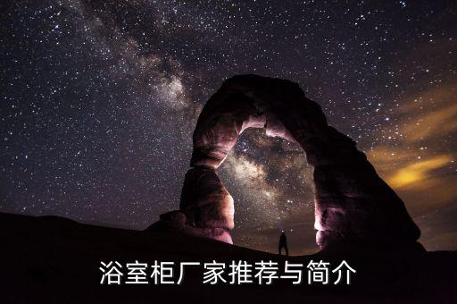 浴室柜廠家推薦與簡介