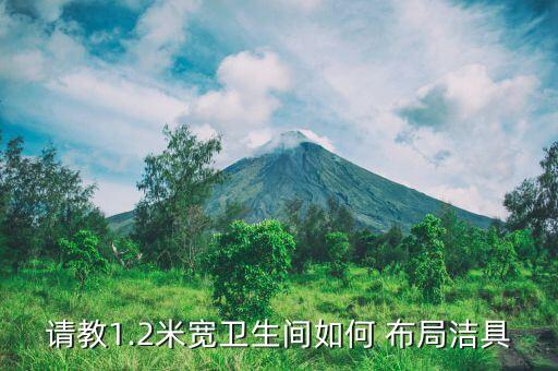 請教1.2米寬衛(wèi)生間如何 布局潔具