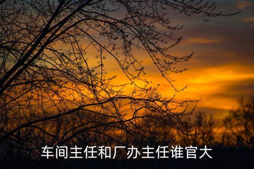 衛(wèi)浴廠里的辦公室圖片,廠里辦公室圖片實(shí)拍圖