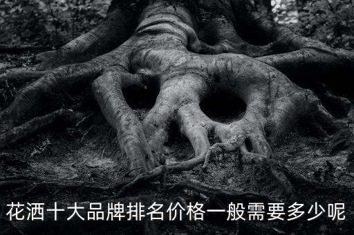 健龍衛(wèi)浴花灑是幾線品牌