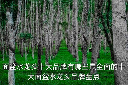 面盆水龍頭十大品牌有哪些最全面的十大面盆水龍頭品牌盤點