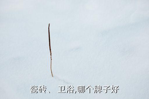 皇谷衛(wèi)浴保定專賣(mài)店電話,皇標(biāo)衛(wèi)浴專賣(mài)店圖片