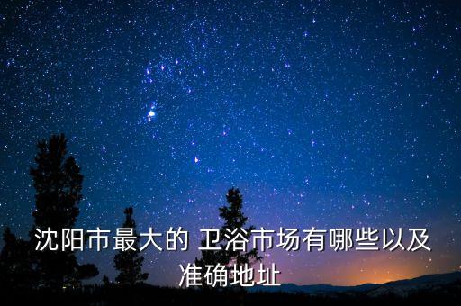  沈陽(yáng)市最大的 衛(wèi)浴市場(chǎng)有哪些以及準(zhǔn)確地址