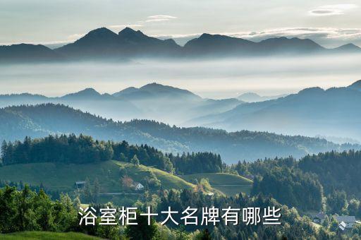 美拉奇衛(wèi)浴品牌排行