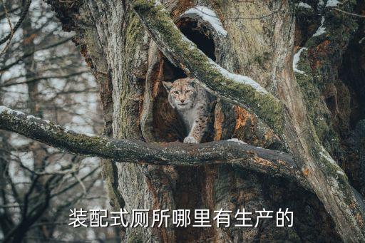 青島衛(wèi)浴安裝服務(wù)公司電話,青島充電樁安裝服務(wù)公司