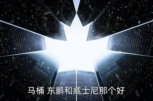 馬桶 東鵬和威士尼那個(gè)好