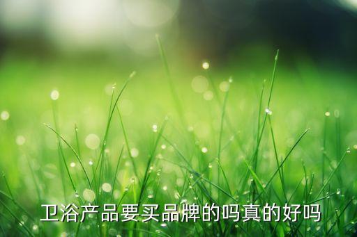 湖北老人衛(wèi)浴價(jià)格及圖片,老人衛(wèi)浴安全扶手圖片