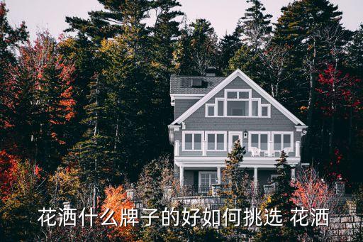  花灑什么牌子的好如何挑選 花灑