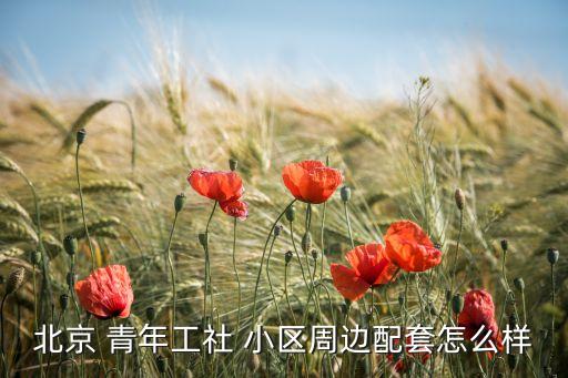 北京 青年工社 小區(qū)周邊配套怎么樣