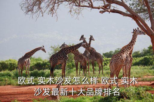  歐式 實木沙發(fā)怎么樣 歐式 實木沙發(fā)最新十大品牌排名