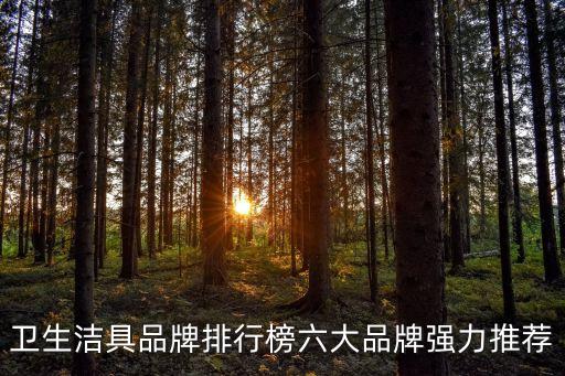 衛(wèi)生潔具品牌排行榜六大品牌強(qiáng)力推薦